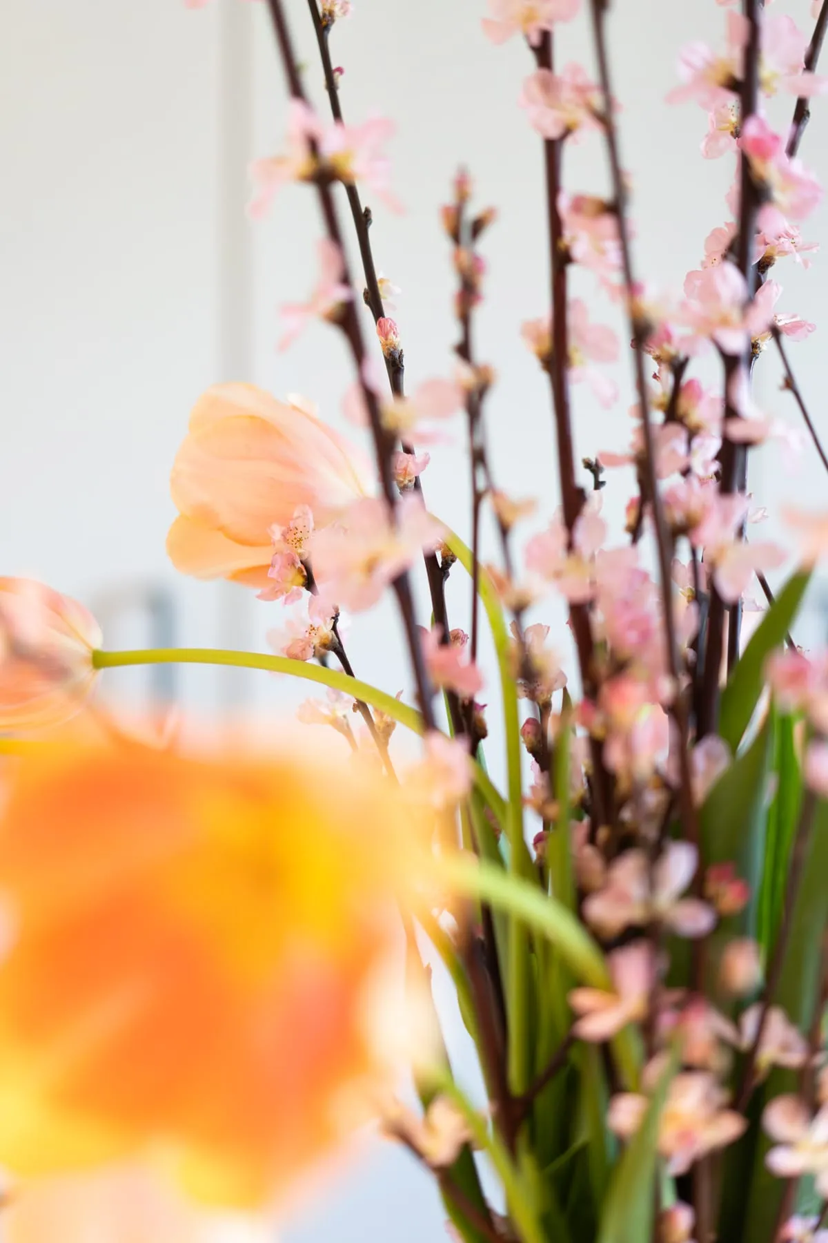 Frühlingsblumen im Eingangsbereich