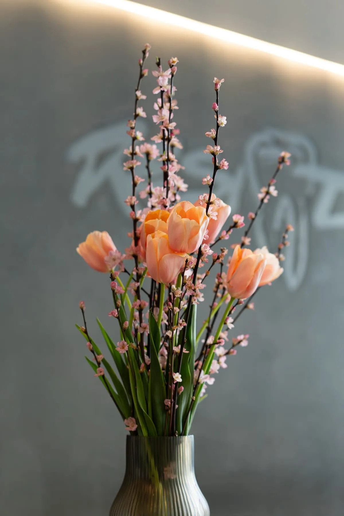 Frühlingsblumen vor der Wand mit dem Resident-Schriftzug